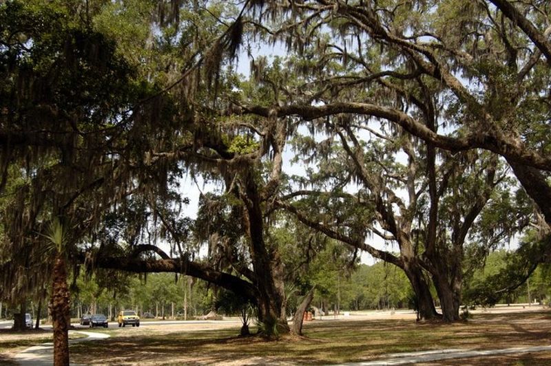 Little Satilla Island