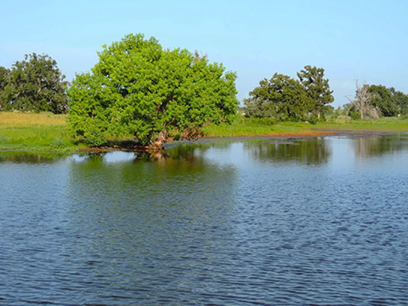 KO_featured_homesite.jpg