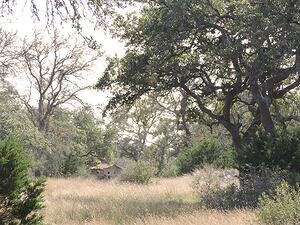 Timber_Ridge_1