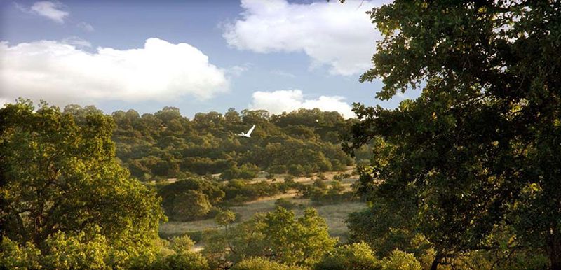 header_vintage_oaks-1