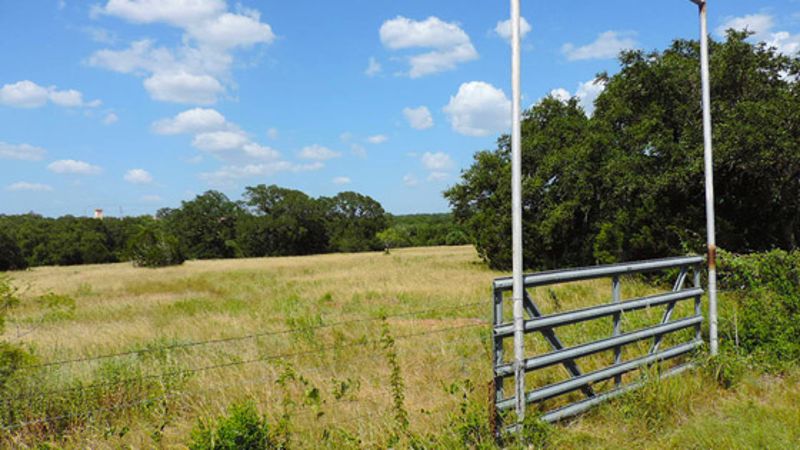 Timber Ridge