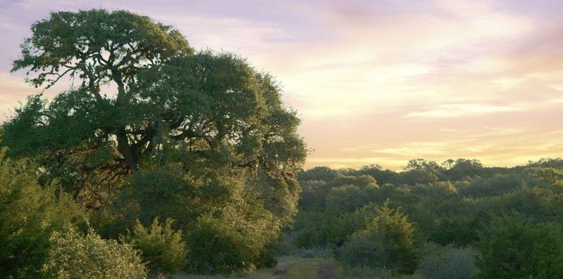 VO_Slider_Sunset.jpg