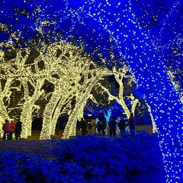 Best Places To See Holiday Lights In The Hill Country https://www.flickr.com/photos/sheilascarborough/11387842866/ - Best Places To See Holiday Lights In The Hill Country