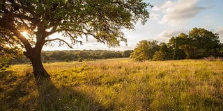 Vintage Oaks Homesite