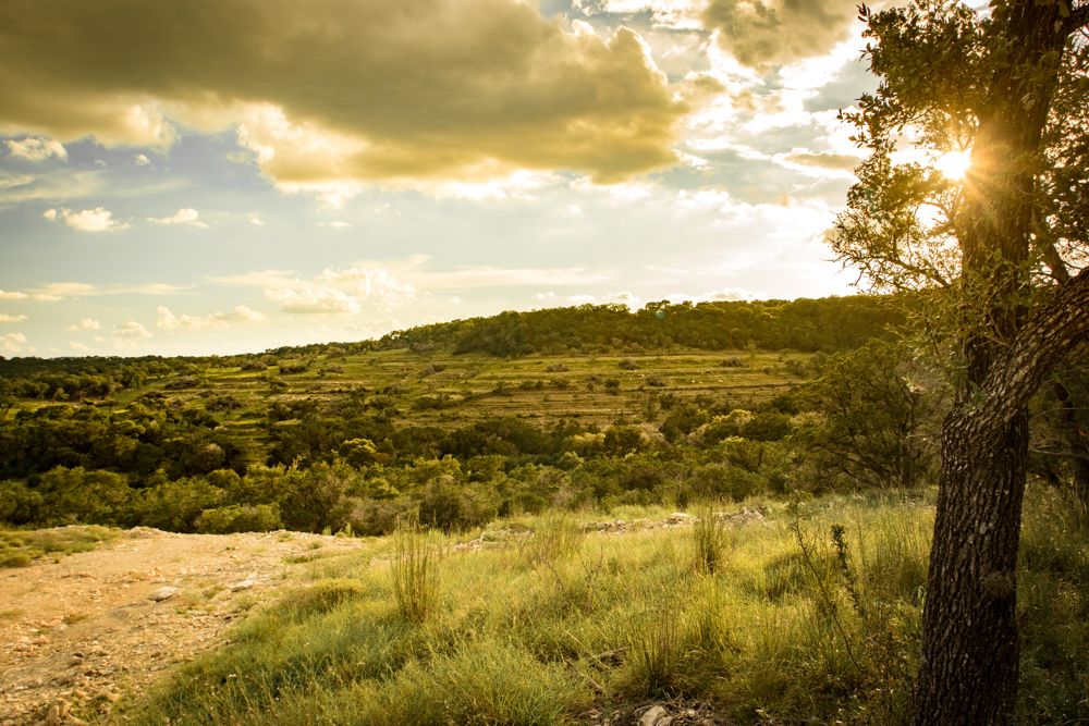 8 Reasons You Should Move To New Braunfels, Landscaping New Braunfels