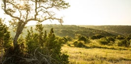 View FINAL Homesites