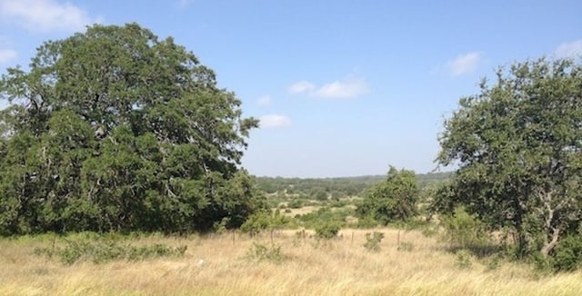 Taking Care Of Your Oak Trees When And How To Trim